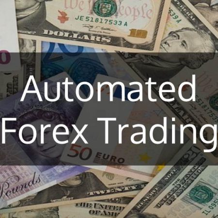 Automated Forex Trading Programs