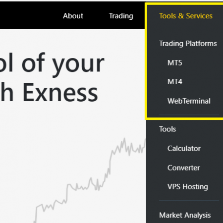 Exness Forex Calculator Review