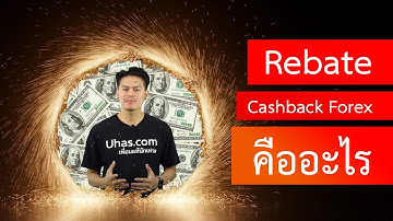 Forexrebate Me Review