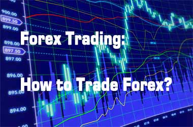 How to Choose a Forex Trading Website