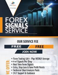 How to Choose the Best Forex Trading Signals