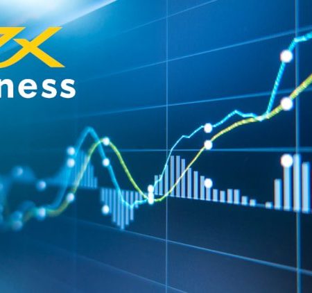How to Earn Exness Forex Rebates
