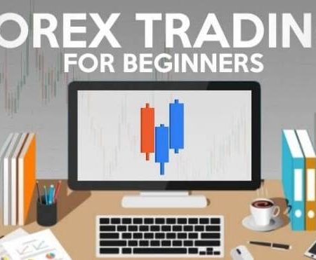 How to Start Forex Trading Without Risking Your Money