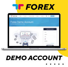 How to Use a Forex Demo Account