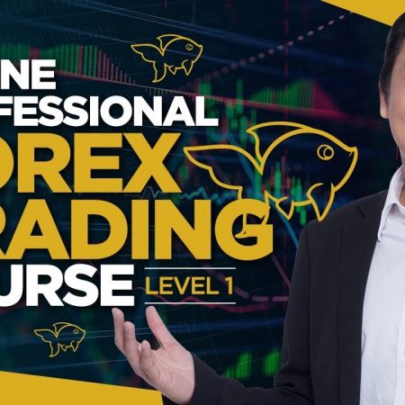 Taking a Forex Trading Course Online