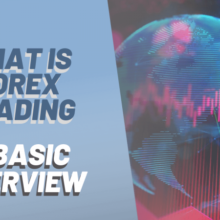 The Importance of a Forex Trading Tutorial